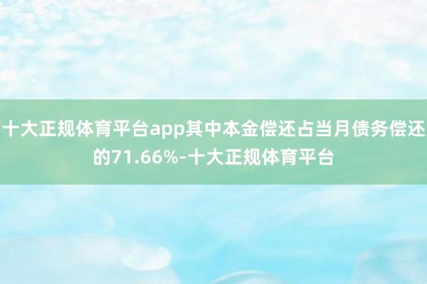 十大正规体育平台app其中本金偿还占当月债务偿还的71.66%-十大正规体育平台