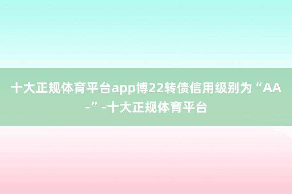 十大正规体育平台app博22转债信用级别为“AA-”-十大正规体育平台