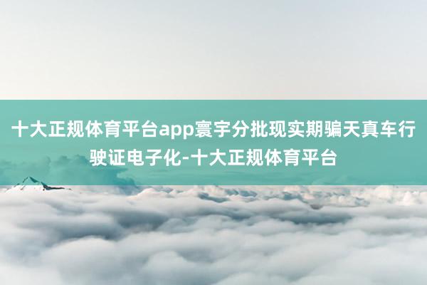 十大正规体育平台app寰宇分批现实期骗天真车行驶证电子化-十大正规体育平台