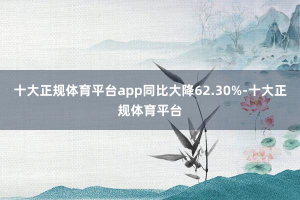 十大正规体育平台app同比大降62.30%-十大正规体育平台