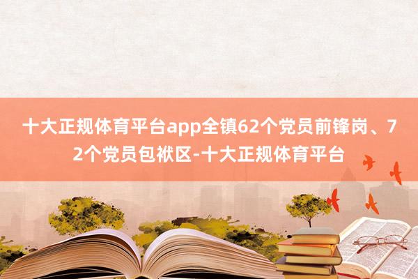 十大正规体育平台app全镇62个党员前锋岗、72个党员包袱区-十大正规体育平台