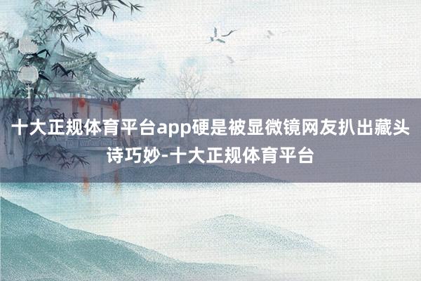 十大正规体育平台app硬是被显微镜网友扒出藏头诗巧妙-十大正规体育平台